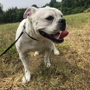 Meet your Posher, Jayme